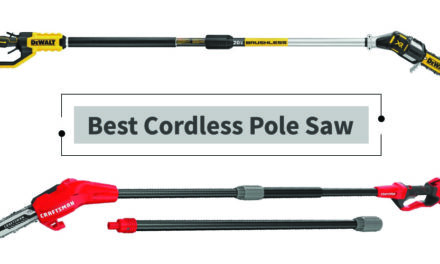 Best Cordless Pole Saw – Factors to Note & Top List 2021
